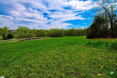 233 Stable Gate Drive, Campobello, SC 29322 - Photo 7