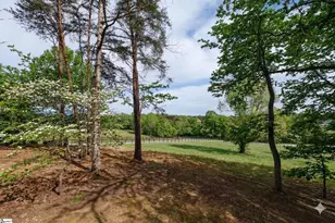 233 Stable Gate Dr, Campobello, SC 29322 - Photo 5