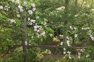 104 Laurel Oak Trail, Simpsonville, SC 29681 - Photo 43