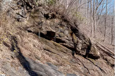 1338 Panther Park Trail, Travelers Rest, SC 29690 - Photo 49