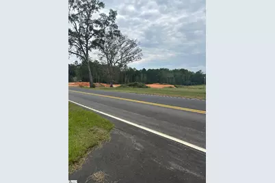 00 Georgia Rd Road, Gray Court, SC 29645 - Photo 3