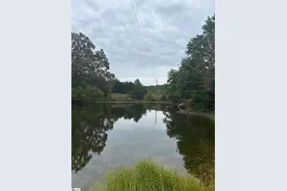 00 Georgia Rd Road, Gray Court, SC 29645 - Photo 1