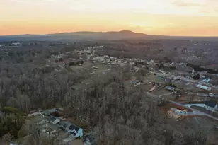 46 Cantrell Dr, Taylors, SC 29687 - Photo 33