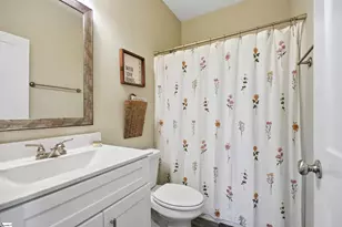 46 Cantrell Dr, Taylors, SC 29687 - Photo 19