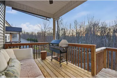 46 Cantrell Drive, Taylors, SC 29687 - Photo 23