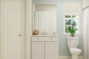 401 Meadow Gate Ct, Fountain Inn, SC 29644 - Photo 19