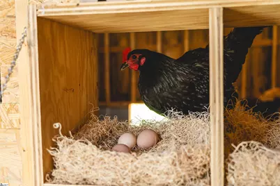 134 Meadow Park Drive, Easley, SC 29640 - Photo 47