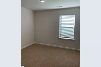 120 McLauren Place, Fountain Inn, SC 29644 - Photo 21