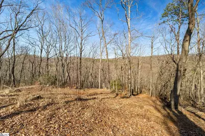 314 Mountain Lake Lane, Travelers Rest, SC 29690 - Photo 7