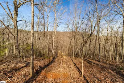 314 Mountain Lake Lane, Travelers Rest, SC 29690 - Photo 15