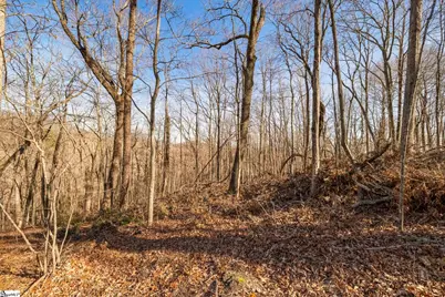 314 Mountain Lake Lane, Travelers Rest, SC 29690 - Photo 13