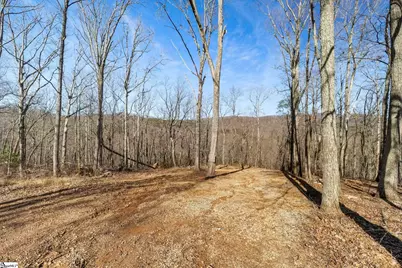 314 Mountain Lake Lane, Travelers Rest, SC 29690 - Photo 1