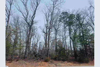 1317 Brushy Creek Road, Easley, SC 29642 - Photo 3