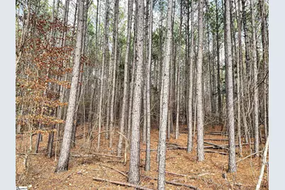 00 Lakeside Drive, Union, SC 29379 - Photo 7