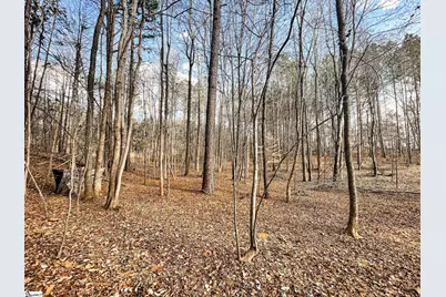 00 Lakeside Drive, Union, SC 29379 - Photo 3