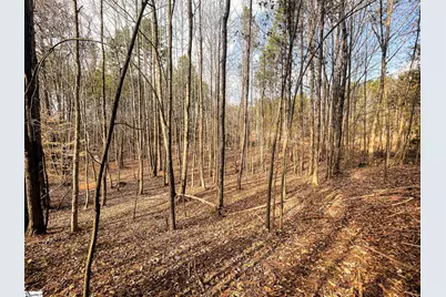 00 Lakeside Drive, Union, SC 29379 - Photo 5