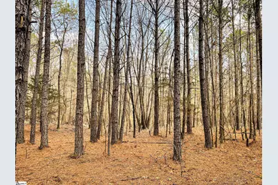 00 Lakeside Drive, Union, SC 29379 - Photo 9