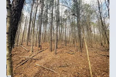 00 Lakeside Drive, Union, SC 29379 - Photo 13