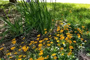 332 St James Dr, Spartanburg, SC 29301 - Photo 39