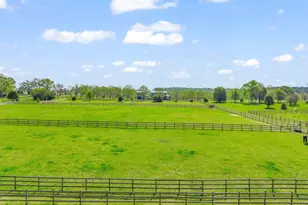 1480 Airport Rd, Rutherfordton, NC 28139 - Photo 5