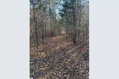 9070 Greenpond Road, Gray Court, SC 29645 - Photo 19