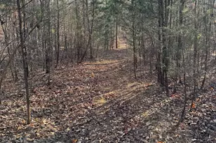 9070 Greenpond Rd, Gray Court, SC 29645 - Photo 19