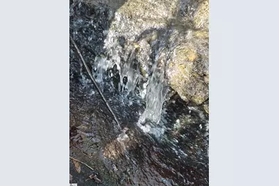 5615 Highway 11 Highway, Pickens, SC 29671 - Photo 11