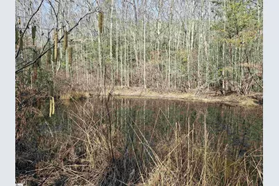 5615 Highway 11 Highway, Pickens, SC 29671 - Photo 5