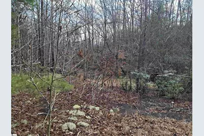 5615 Highway 11 Highway, Pickens, SC 29671 - Photo 13