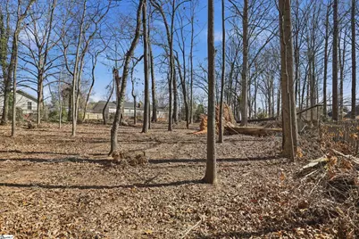 1006 Colleton Court, Easley, SC 29642 - Photo 19