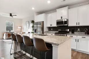 17 Apollo Vw Ln, Greenville, SC 29607 - Photo 13