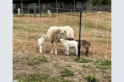 665 Oconee Creek Road, Walhalla, SC 29691 - Photo 43