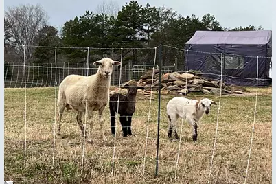 665 Oconee Creek Road, Walhalla, SC 29691 - Photo 43