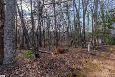 18 Rhone Valley Lane, Travelers Rest, SC 29690 - Photo 5