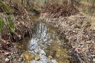 665 Oconee Creek Rd, Walhalla, SC 29691 - Photo 47