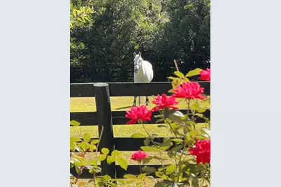 1240,1241,1242 SE Audubon Drive, Aiken, SC 29803 - Photo 31