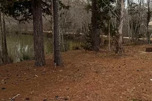 134 Carlton St, Greenwood, SC 29649 - Photo 15