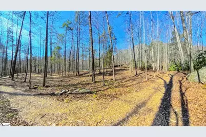 1100 Panther Park Trail, Travelers Rest, SC 29690 - Photo 1