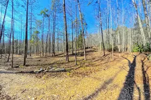 1100 Panther Park Trail, Travelers Rest, SC 29690 - Photo 1