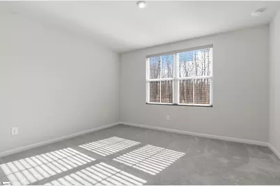 217 Juglans Way, Greer, SC 29651 - Photo 13