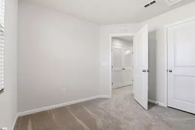 217 Juglans Way, Greer, SC 29651 - Photo 19