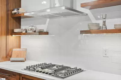 4 E Montclair Avenue, Greenville, SC 29609 - Photo 3