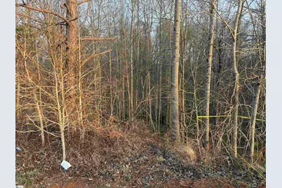 302 Oglesby Creek Lane, Spartanburg, SC 29303 - Photo 9