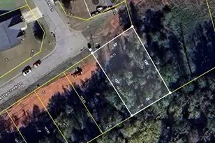 302 Oglesby Creek Ln, Spartanburg, SC 29303 - Photo 1