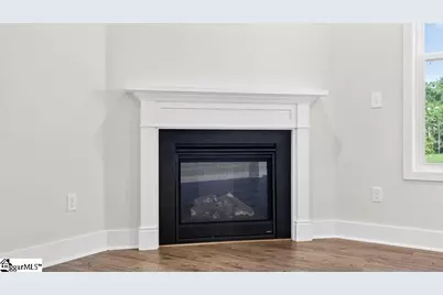 707 Catbird Court, Pelzer, SC 29669 - Photo 15