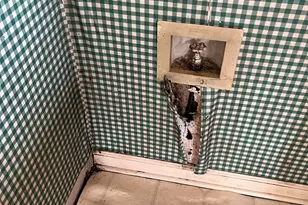 6 Moss Spring Ct, Simpsonville, SC 29680 - Photo 43