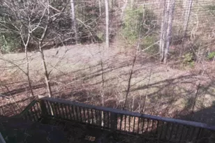 6 Moss Spring Ct, Simpsonville, SC 29680 - Photo 35