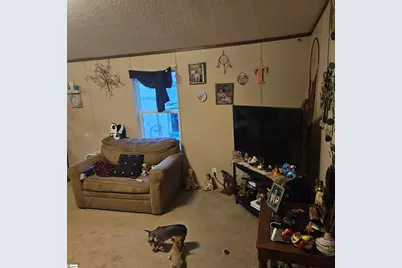 148 Persimmon Drive, Pickens, SC 29671 - Photo 9