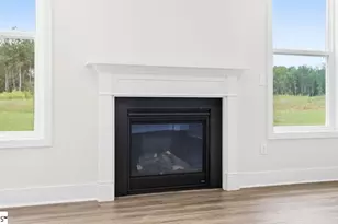 709 Catbird Ct, Pelzer, SC 29669 - Photo 17