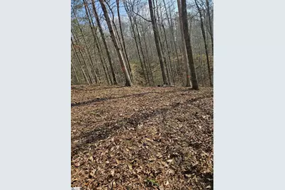 Lot 43 Deerchase Court, Salem, SC 29676 - Photo 3